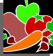 Various fruits and vegetables