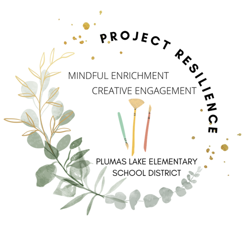 project resilience flyer